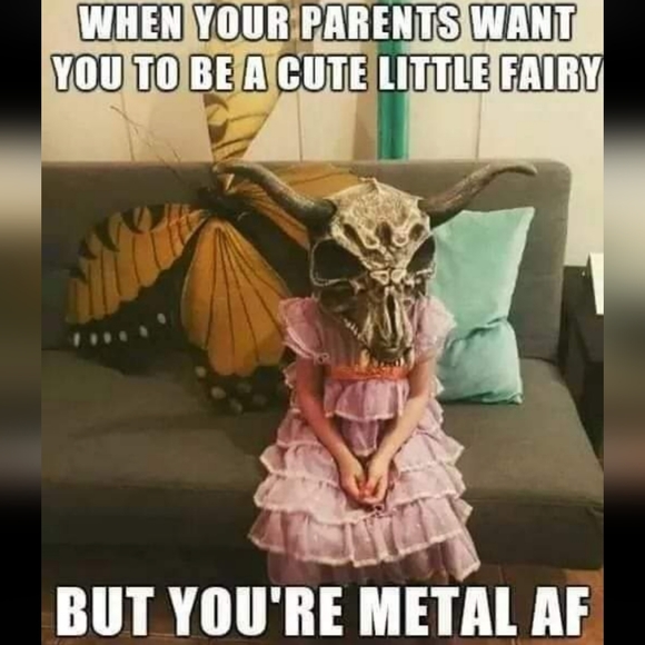 Meet your Posher, Terra - Picture 9 of 16